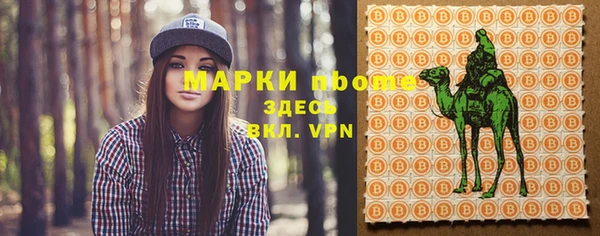 мет Няндома
