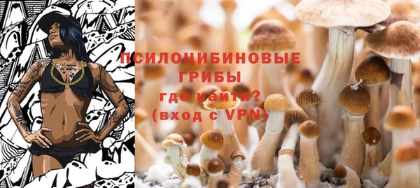 каннабис Осташков