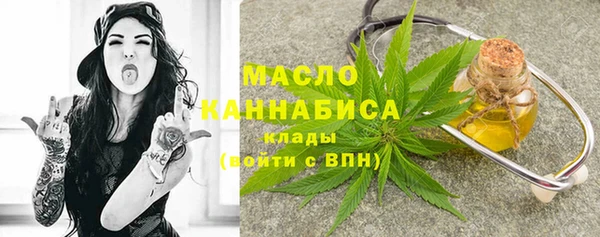 индика Кинешма