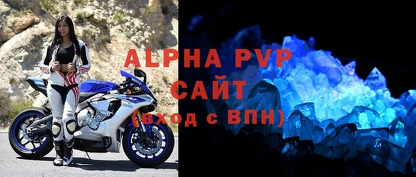 ПСИЛОЦИБИНОВЫЕ ГРИБЫ Осинники