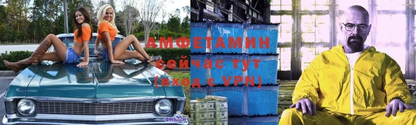 ПСИЛОЦИБИНОВЫЕ ГРИБЫ Осинники