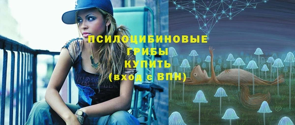 СК Бежецк