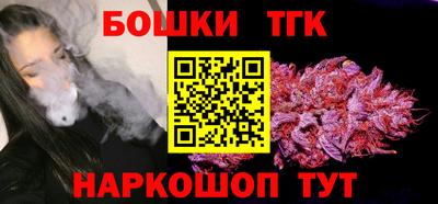 крисы Моздок