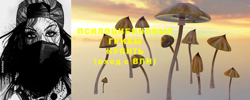 MEGA tor  Кубинка  Псилоцибиновые грибы Psilocybe 