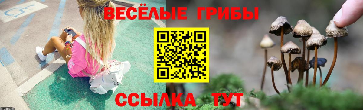 Псилоцибиновые грибы Cubensis  Вход с VPN  Кубинка 